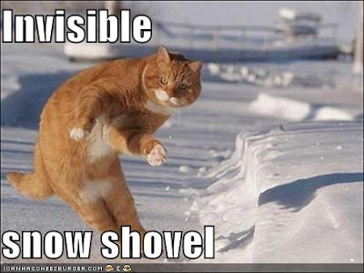 funny pictures cat with invisible snow shovel HR and Business: How Do You Handle Snow and Work